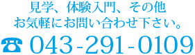 見学、体験入門、その他お気軽にお問合せ下さい。　043-291-0109